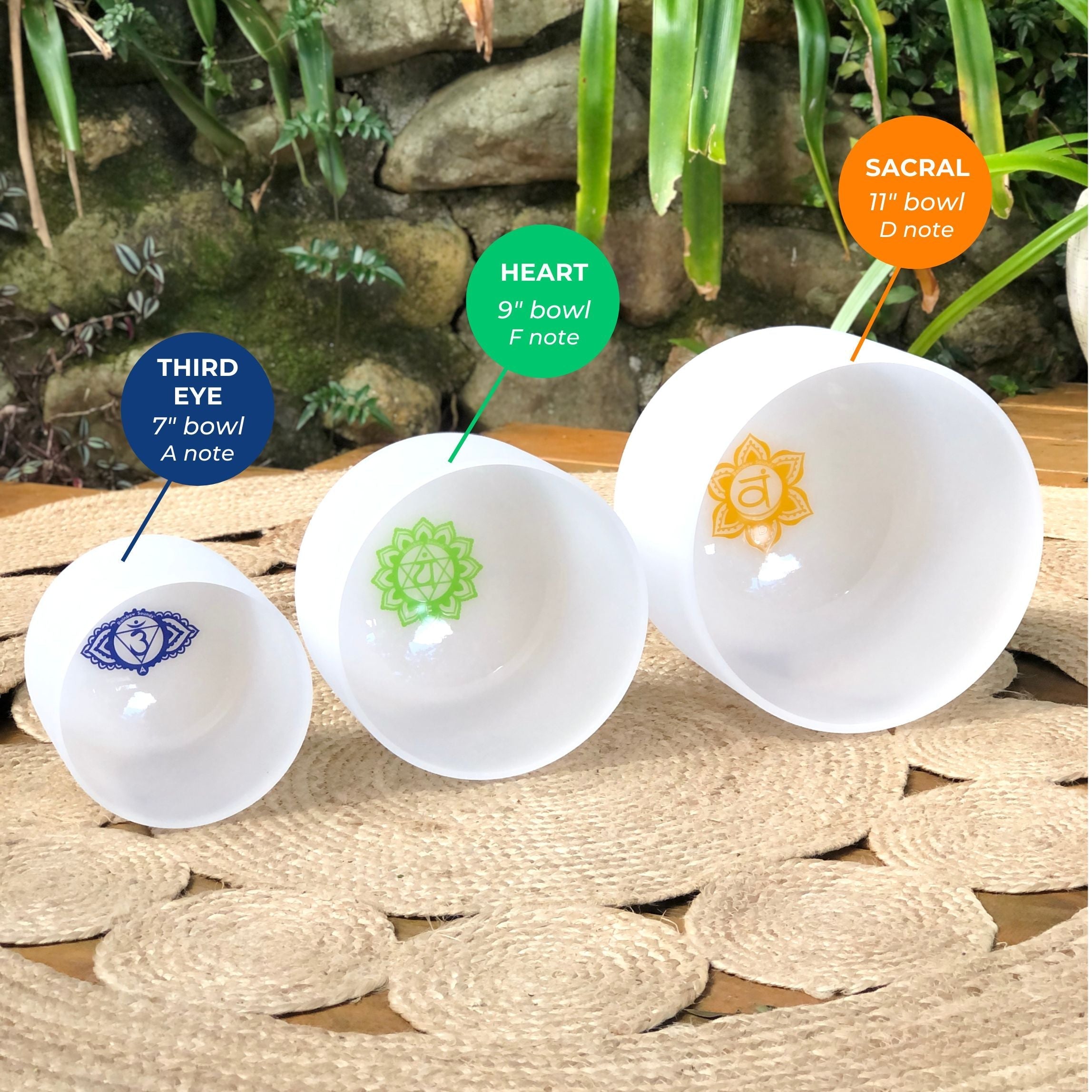 Set of 3 White Sound Therapy Bowls in Beige Case Dispatch May 18th
