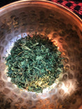 Nettle (Urtica dioica) - Witching Herbs