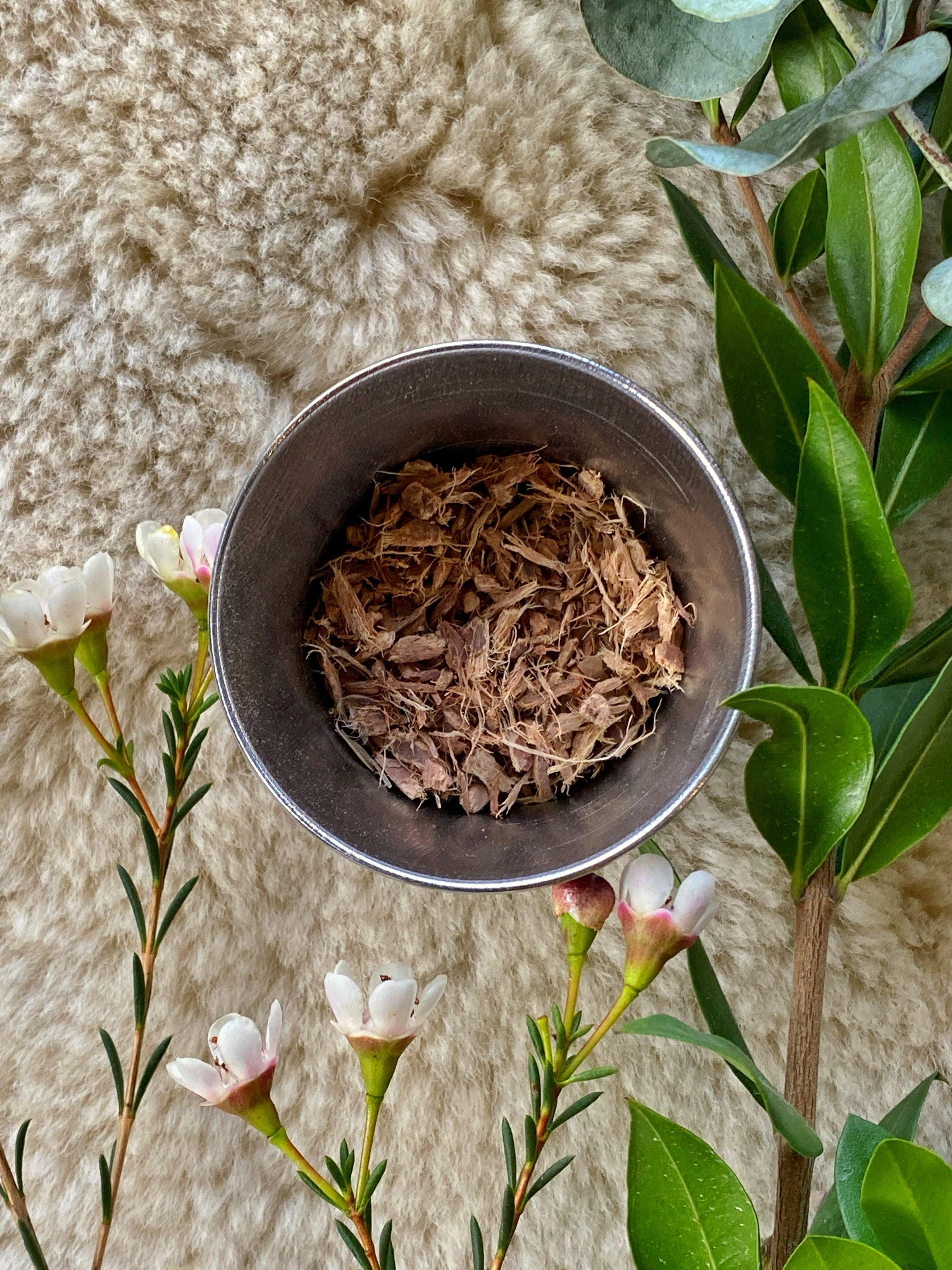 Bayberry Bark (Myrica cerifera) - Witching Roots
