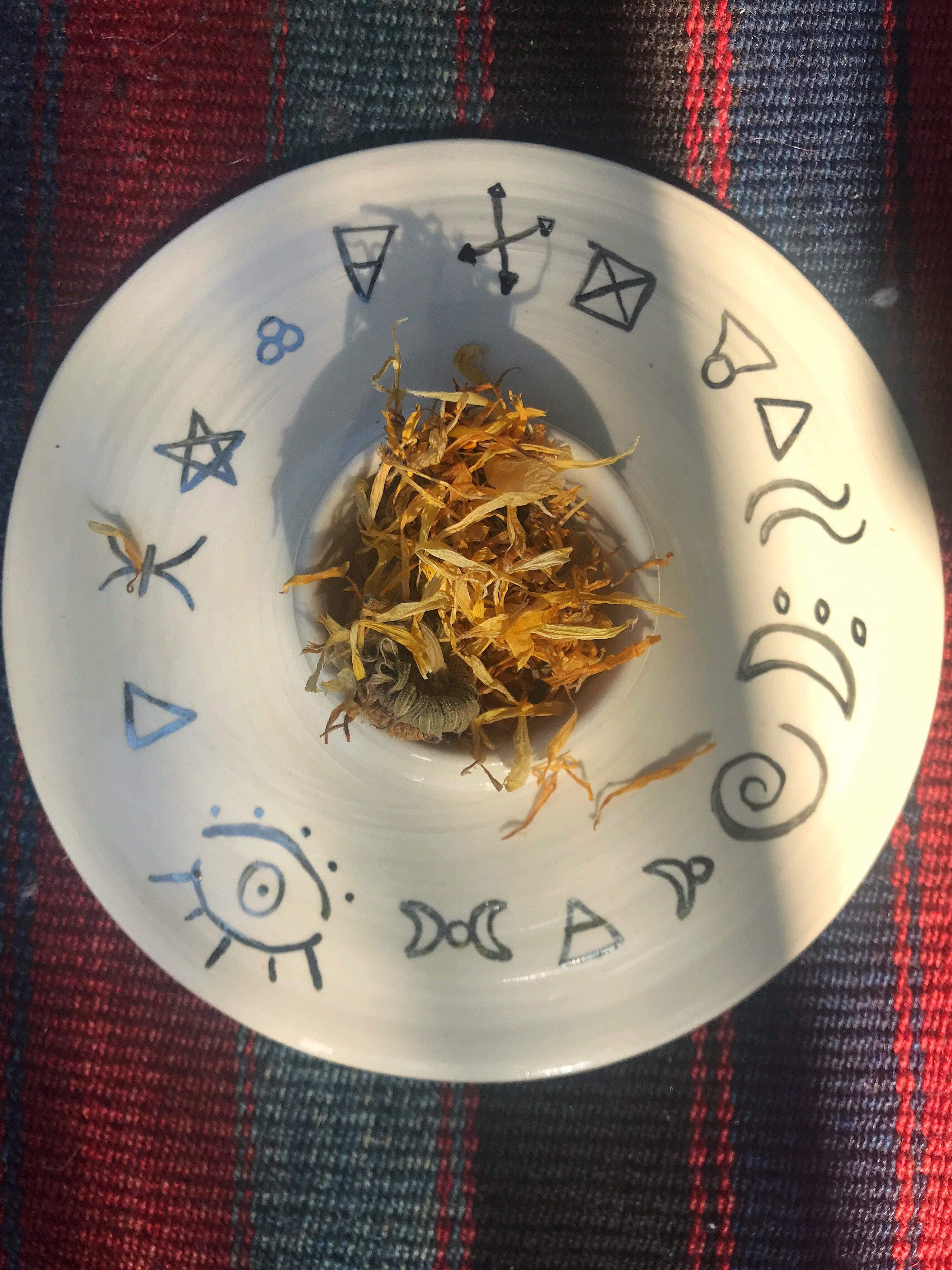 Calendula (Calendula officinalis) - Witching Flowers