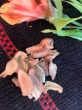 Galangal Root, Chewing John (Alpina galanga) - Witching Roots