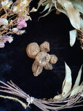 High John Root (Ipomoea jalapa) - Witching Roots