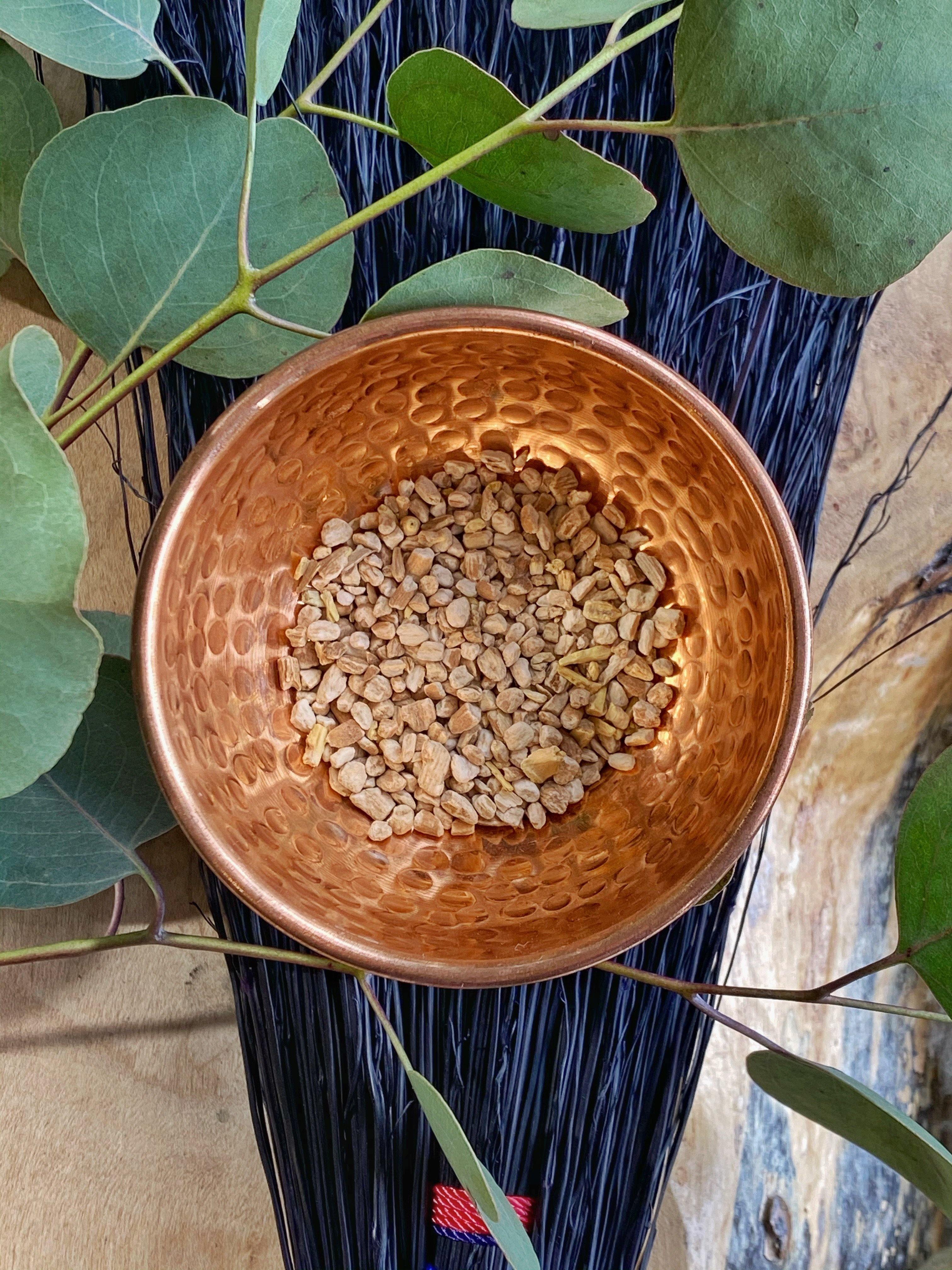 Poke Root (Phytolacca americana) - Witching Roots