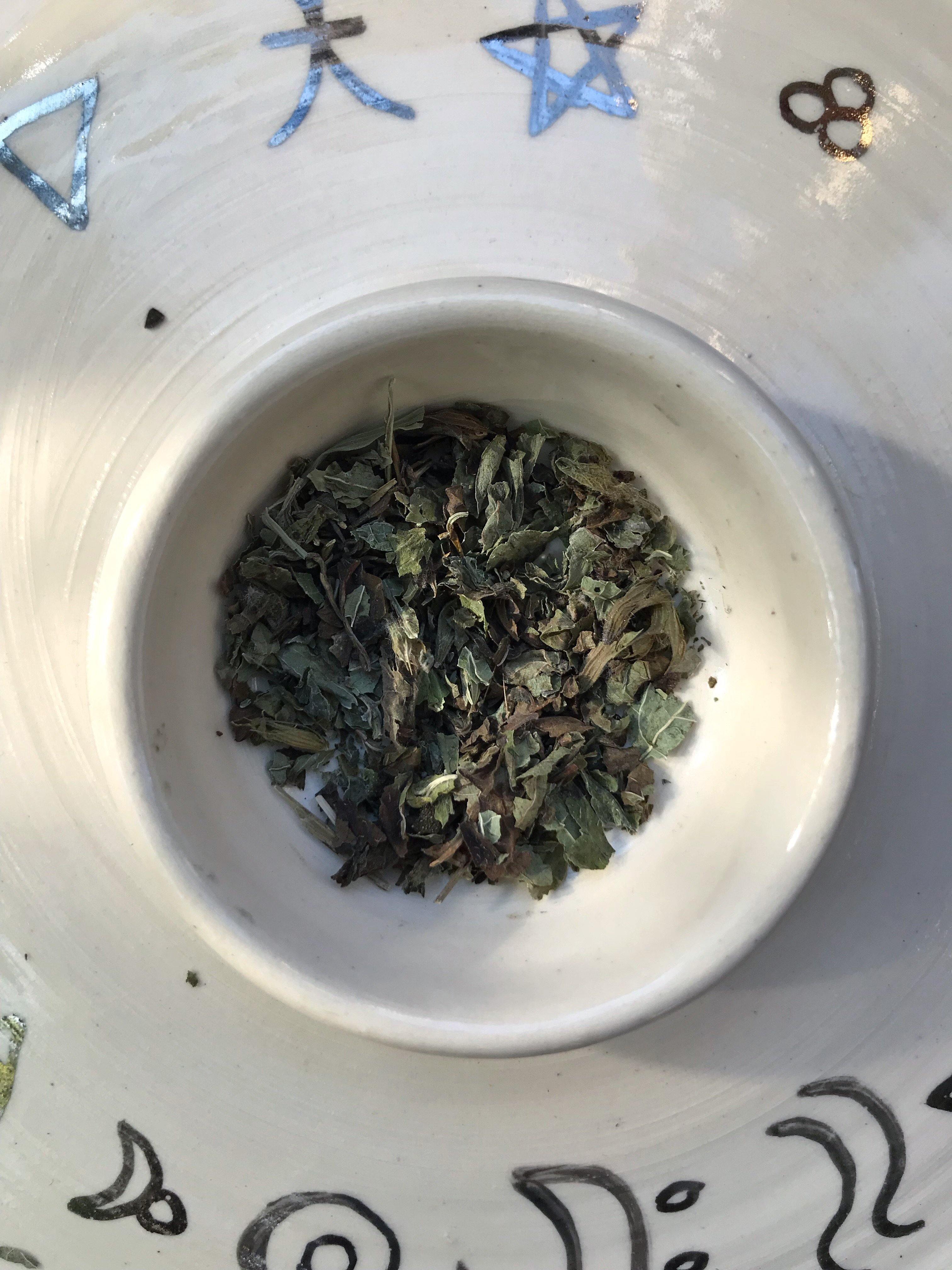 Lemon Balm (Melissa officinalis) - Witching Herbs