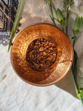 Sarsaparilla Root (Smilax medica or Hermidesmus indicus) - Witching Roots