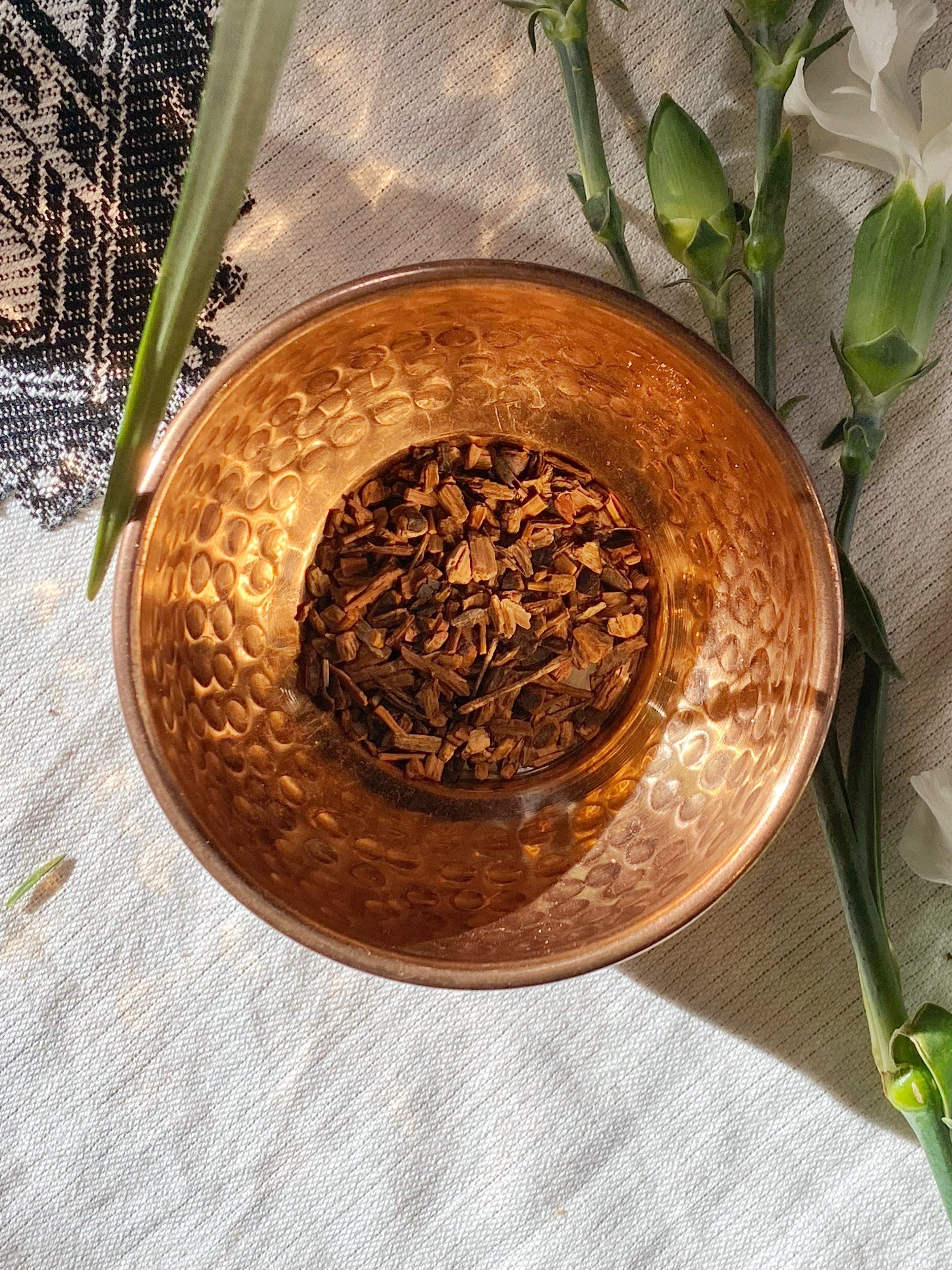 Sarsaparilla Root (Smilax medica or Hermidesmus indicus) - Witching Roots