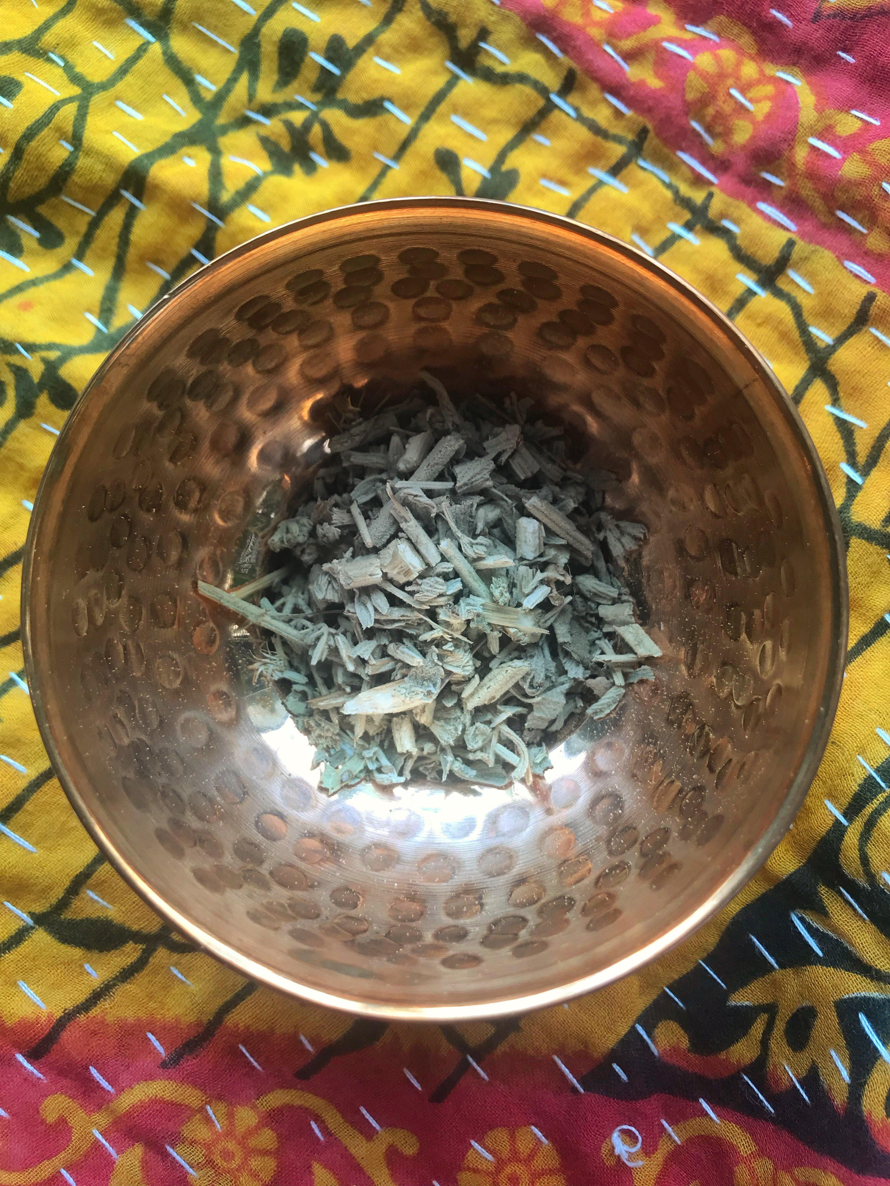 Horehound (Marrubium vulgare) - Witching Herbs